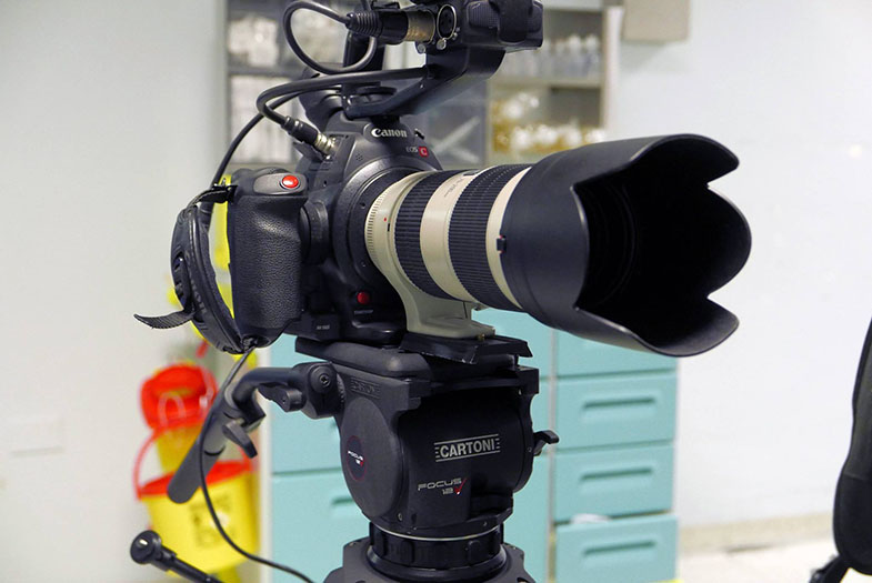 Cartoni Focus 12