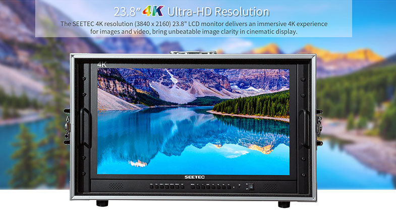 Feelworld Seetec 4K238-9HSD-CO