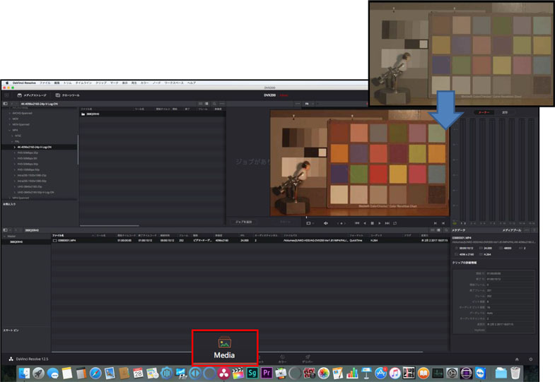 Blackmagic Design DaVinci Resolve 3D LUT Panasonic DVX200