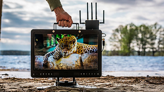 Small HD 1700 Series 1703 HDR