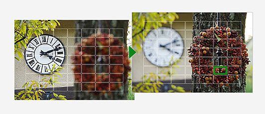 Panasonic LUMIX DC-GH5