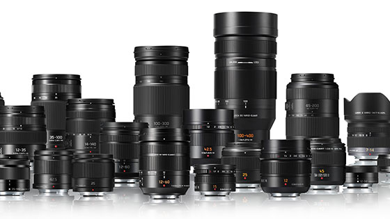 LEICA DG VARIO-ELMARIT 12-60mm F2.8-4.0 ASPH. POWER O.I.S. LEICA DG VARIO-ELMARIT 8-18mm H-ES12060 H-E08018