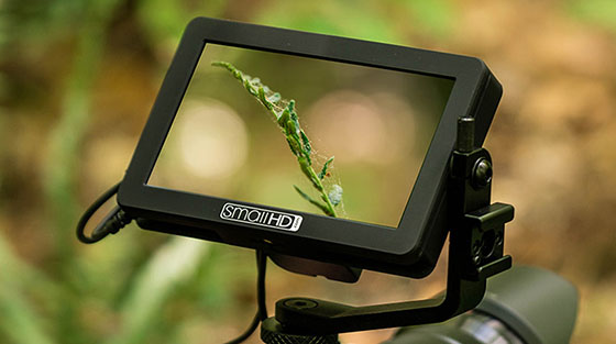 SmallHD Focus